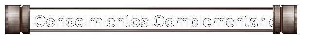 Conocimientos Complementarios