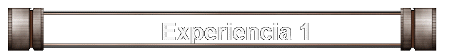Experiencia 1